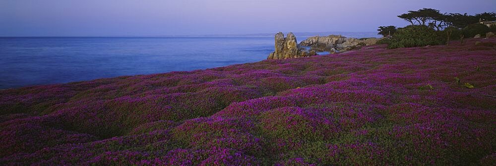 Monteray Coast CA USA