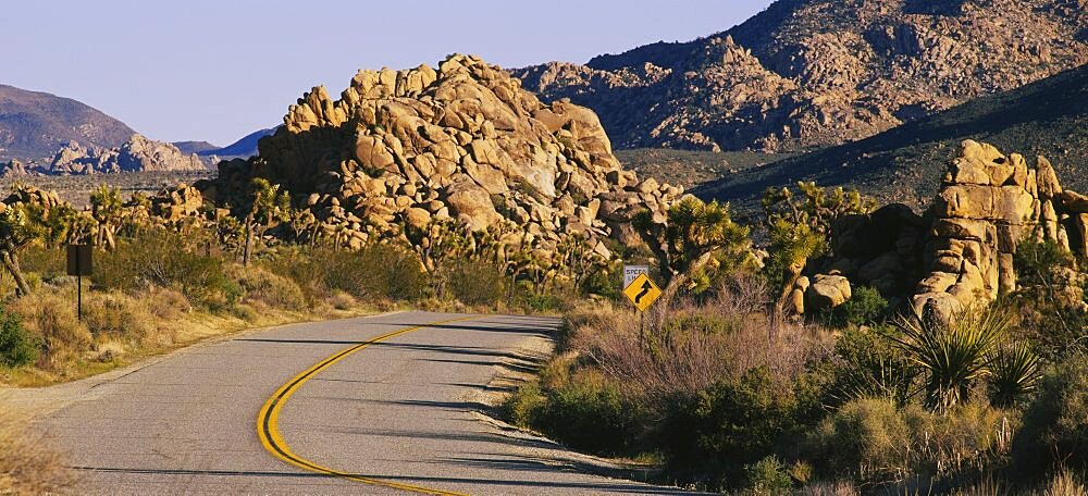 Road running through a landscape, Joshua Tree National Monument, California, USA