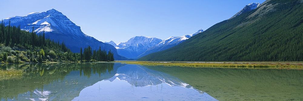 Beauty Creek Icefields Parkway Jasper National Park Alberta Canada