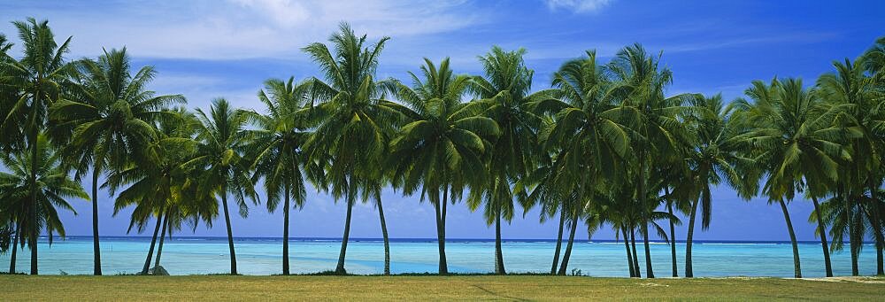 Palms & lagoon Aitutaki Cook Islands