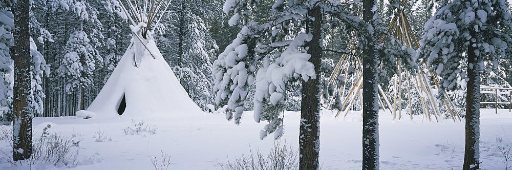 Snow Covered Teepee Banff National Park Canada