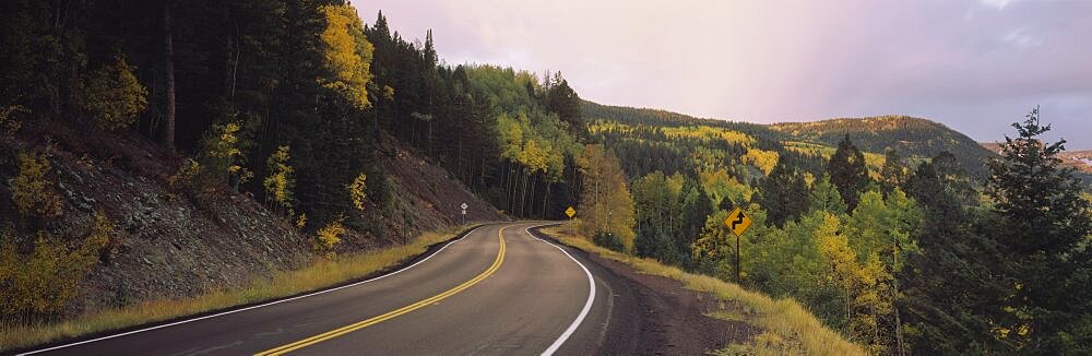 Winding road on a hillside, Conejos County, Colorado, USA