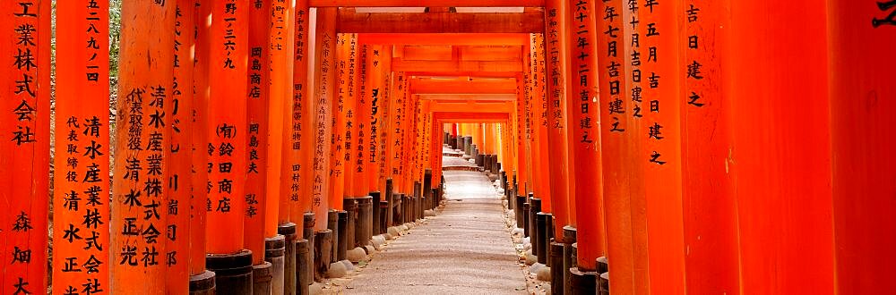 Tunnel of Torii Gates, Fushimi Inari Shrine, Kyoto, Japan