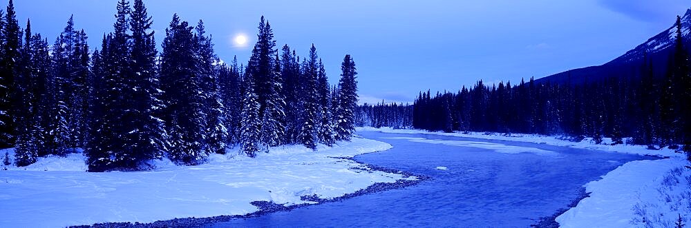 Moon rising above the forest, Banff National Park, Alberta, Canada