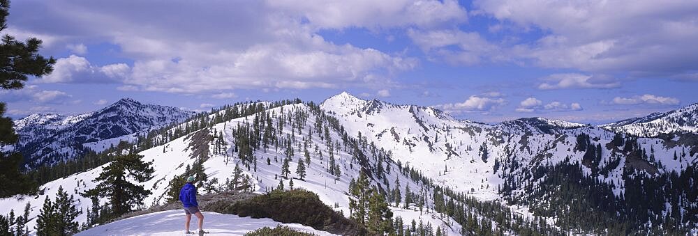 Rear view of a man standing on a snowcapped mountain, Trinity Alps, Humboldt, California, USA