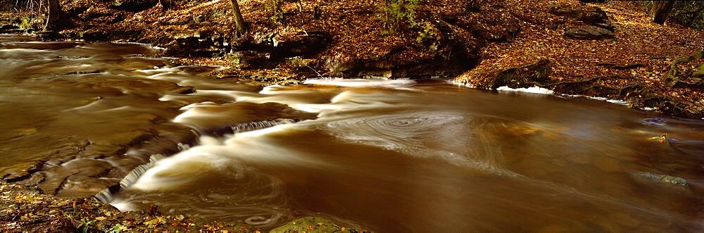 Stream on rocks, May Beck, Littlebeck, North Yorkshire, England