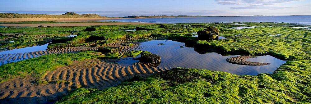 High angle view of a landscape, Embleton Bay, Northumbria, England