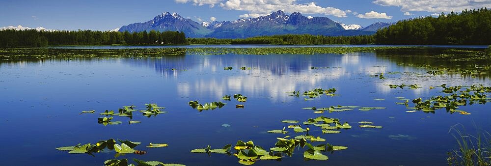 Reflection of a mountain and clouds in a lake, Mt Foraker, Mt McKinley, Alpine Lake, Denali National Park, Alaska, USA