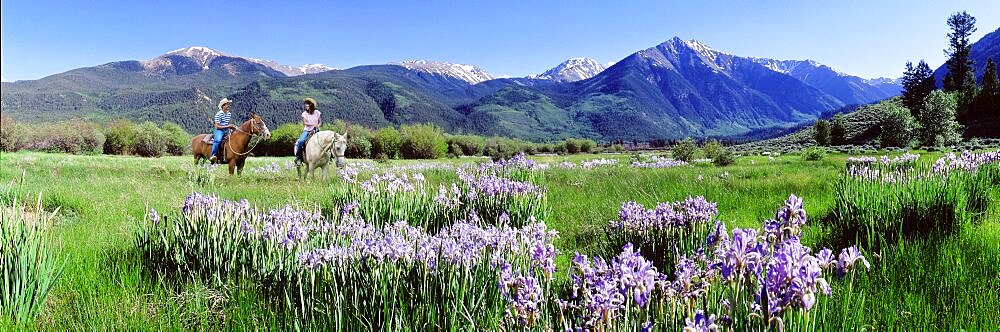 Horseback Riders Rocky Mts Twin Lakes CO USA