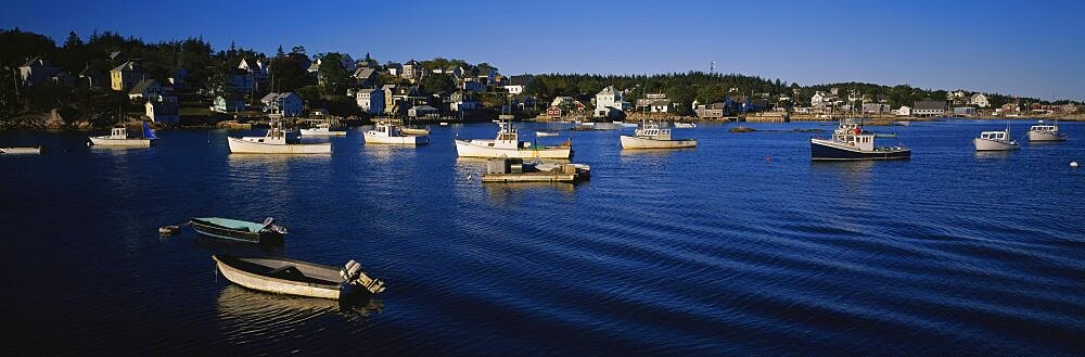 Boats docked at the harbor, Stonington Harbor, Deer Isle, Hancock County, Maine, USA