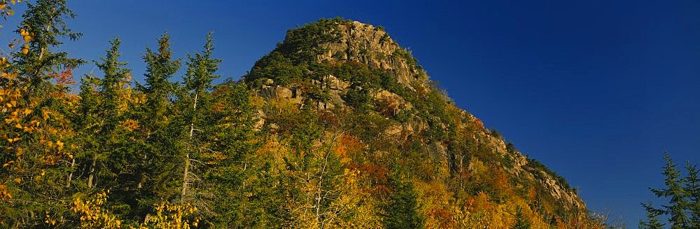 Low angle view of a hill, Acadia National Park, Hancock County, Maine, USA