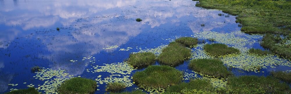 Reflection of clouds in water, Okefenokee National Wildlife Refuge, Georgia, USA