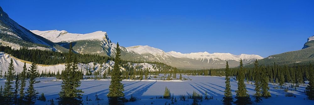 Frozen river surrounded by snowcapped mountains, Saskatchewan River, Banff National Park, Alberta, Canada