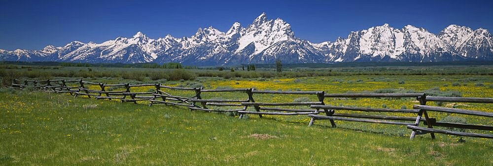 Rail fence on a landscape, Grand Teton National Park, Wyoming, USA