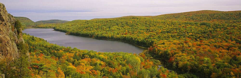 High angle view of trees in the forest, Porcupine Mountains Wilderness State Park, Upper Peninsula, Michigan, USA