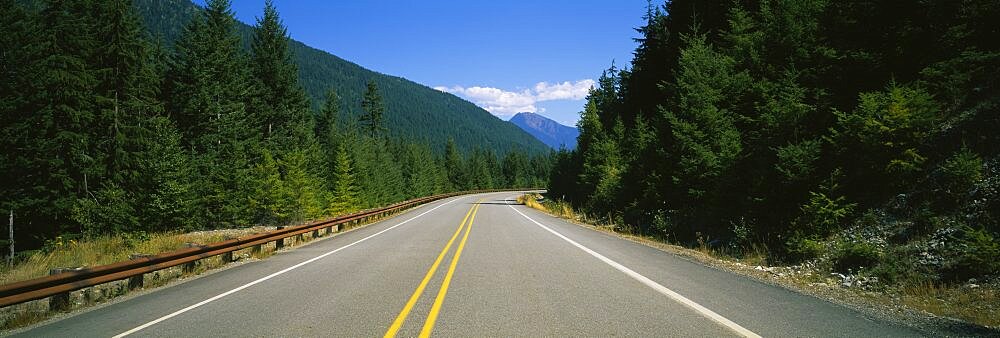 Road passing through a forest, State Route 20, Washington State, USA