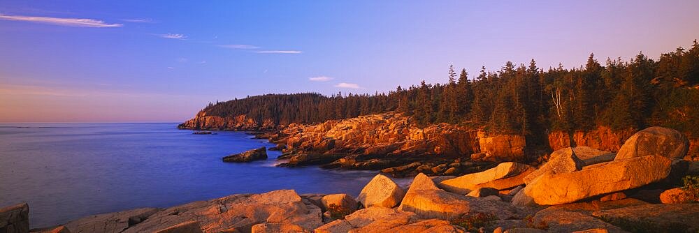 Rocks on the coast, Acadia National Park, Maine, New England, USA