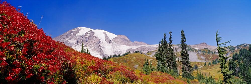 Low angle view of a snowcapped mountain, Mt Rainier, Mt Rainier National Park, Washington State, USA