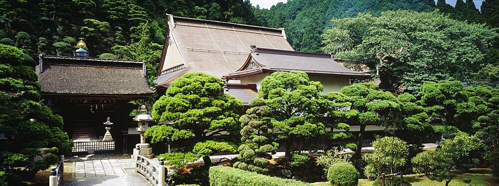 Monastery surrounded by trees, Koyasan, Japan