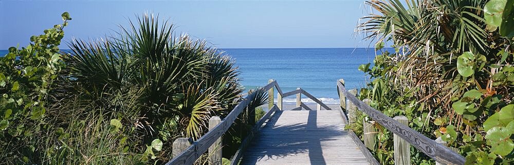 Plants On Both Sides Of A Boardwalk, Caspersen Beach, Venice, Florida, USA