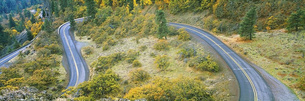 High angle view of a road passing through a forest, Columbia River Highway, Rowena, Oregon, USA