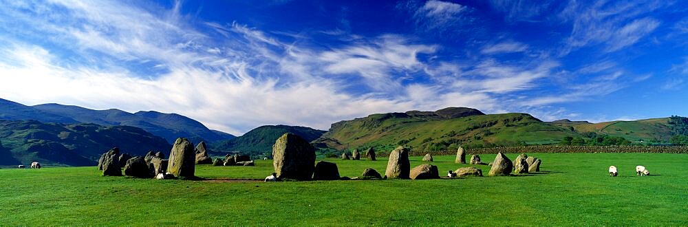 Sheep's Grazing In A Pasture, Castlerigg Stone Circle, Keswick, Lake District, Cumbria, England, United Kingdom