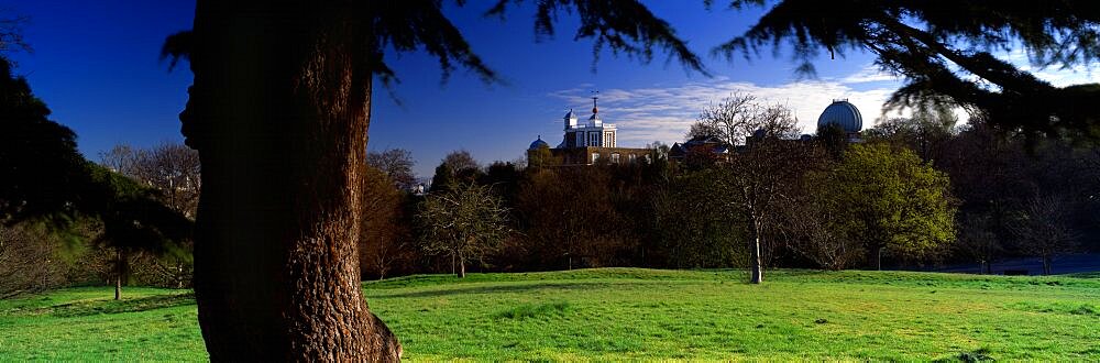 Trees In A Park, Royal Observatory, Greenwich, England, United Kingdom