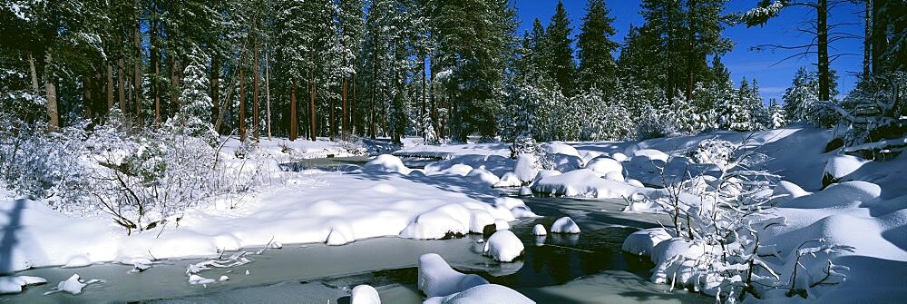 Snow along a river, Alpine River, Yosemite National Park, California, USA