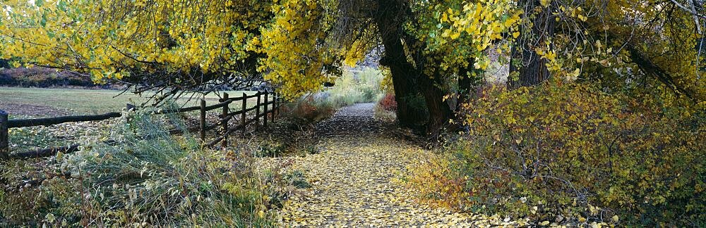 Path through Capitol Reef National Park, UT, USA