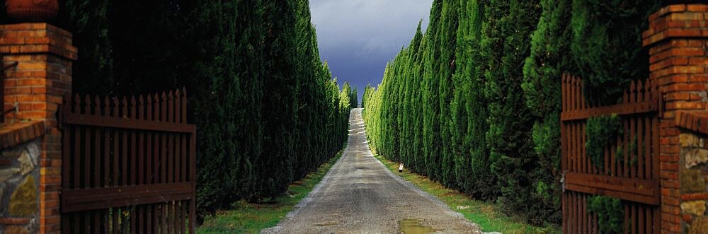 Road Tuscany Italy