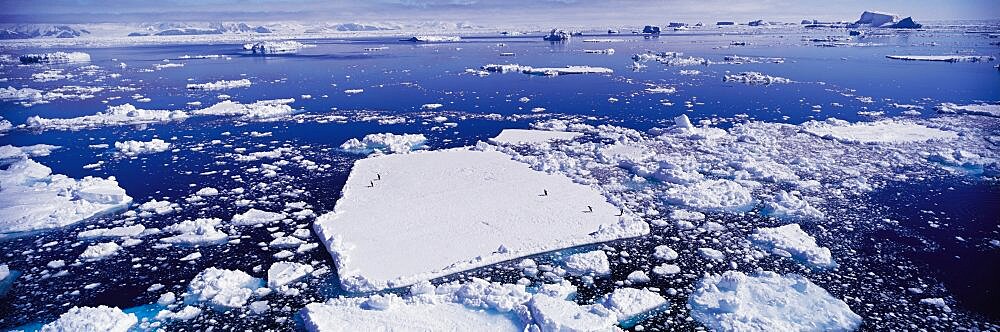 Pack Ice Ross Sea Antarctica