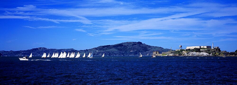 Sailing Regatta San Francisco Bay CA USA