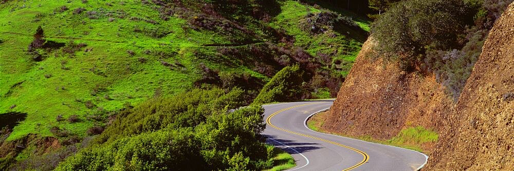 USA , California, Marin County, road