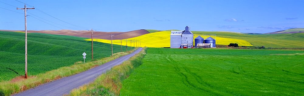 Granary Fields Whitman County WA USA