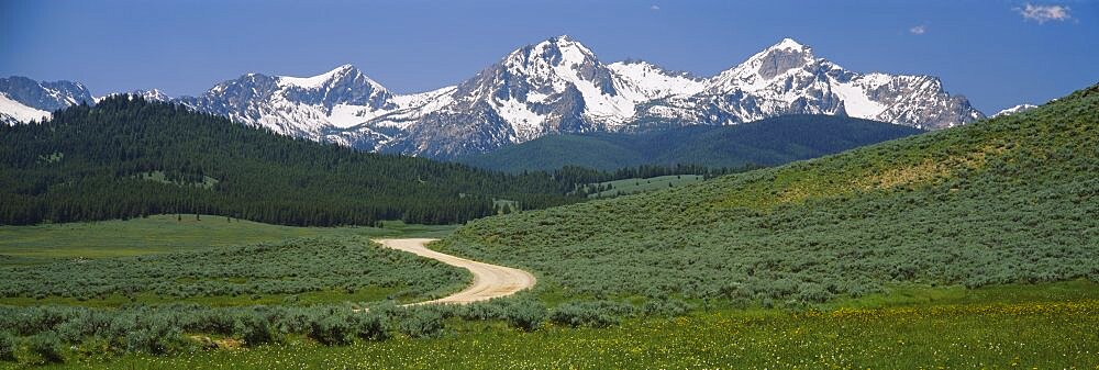 High angle view of a dirt road running through the field, Sawtooth National Recreation Area, Stanley, Idaho, USA