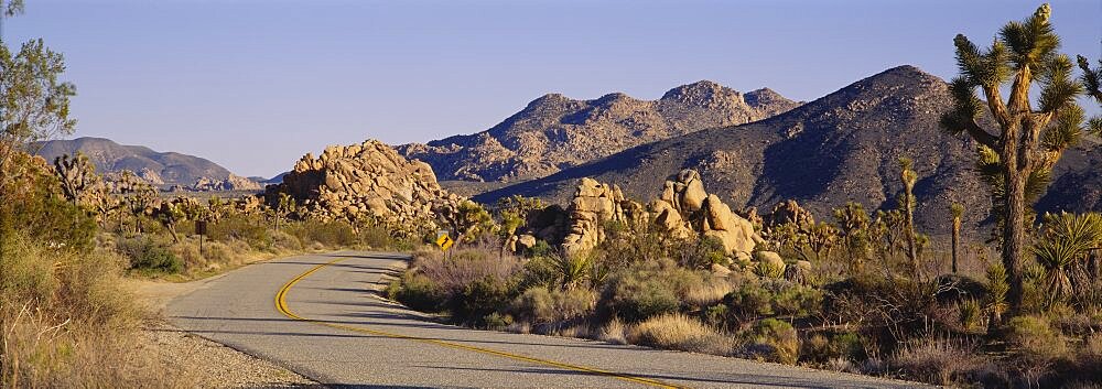 Road running through a landscape, Joshua Tree National Monument, California, USA