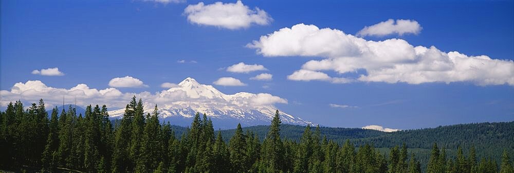 Clouds over mountains, Mt Shasta, California, USA