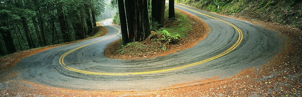 USA , California, Marin County, road