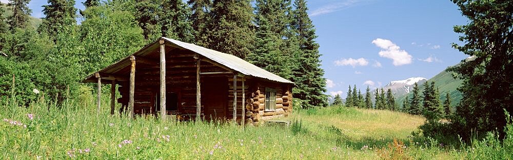 Log cabin in a field, Kenai Peninsula, Alaska, USA