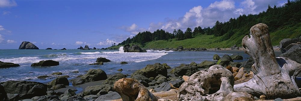 Rocks on the beach, California, USA