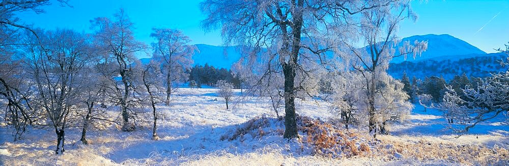 Trossachs National Park Scotland UK