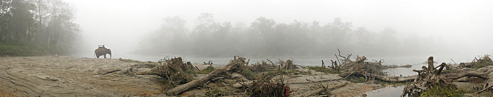 Mahout and elephant in early morning mist, Island Jungle Resort Hotel, Royal Chitwan National Park, on the Gangetic plains of the Terai, Nepal, Asia