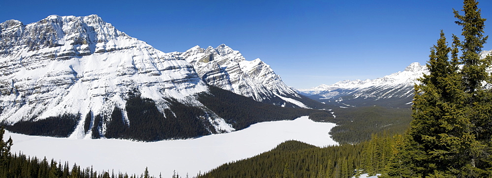 Peyto Lake, Bow Summit, Banff National Park, UNESCO World Heritage Site, Rocky Mountains, Alberta, Canada, North America