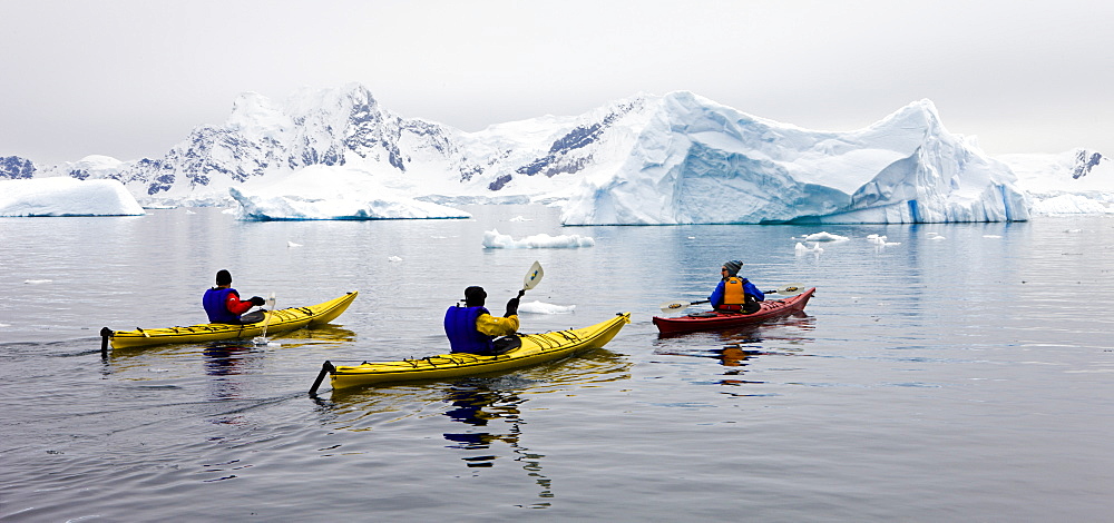 Tourists kayaking in Antarctic waters, Antarctic Peninsula, Antarctica, Polar Regions