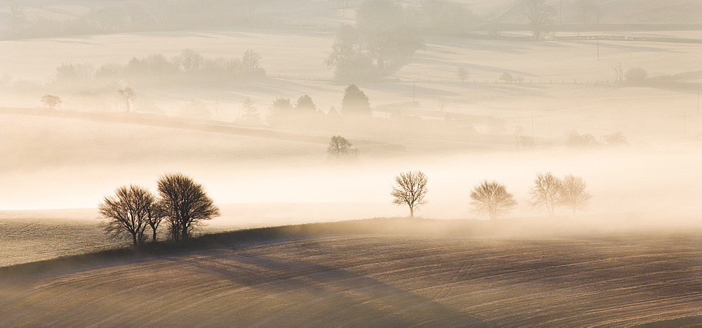 Mist covered rolling countryside, near Thorverton, Devon, England, United Kingdom, Europe 