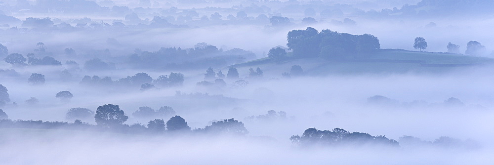 Mist covered countryside of the Somerset Levels in autumn, Wells, Somerset, England, United Kingdom, Europe