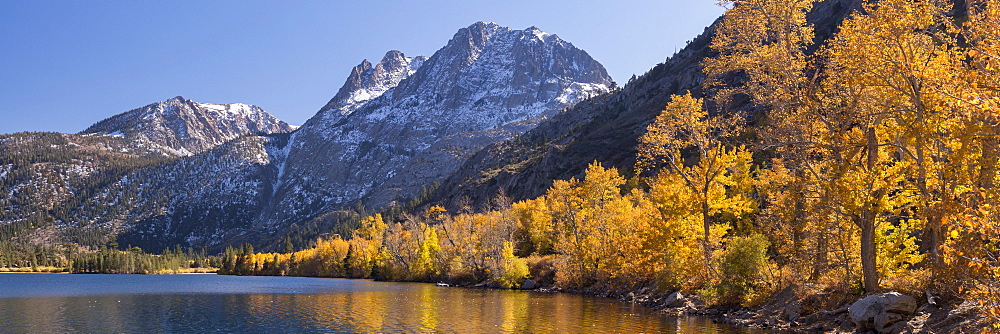 Golden autumn foliage on the shores of Silver Lake in the Eastern Sierra Mountains, California, United States of America, North America