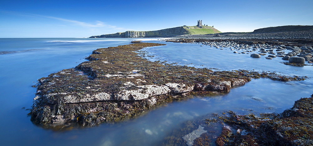 Dunstanburgh Castle from the rocky ledges of Embleton Bay, Northumberland, England, United Kingdom, Europe