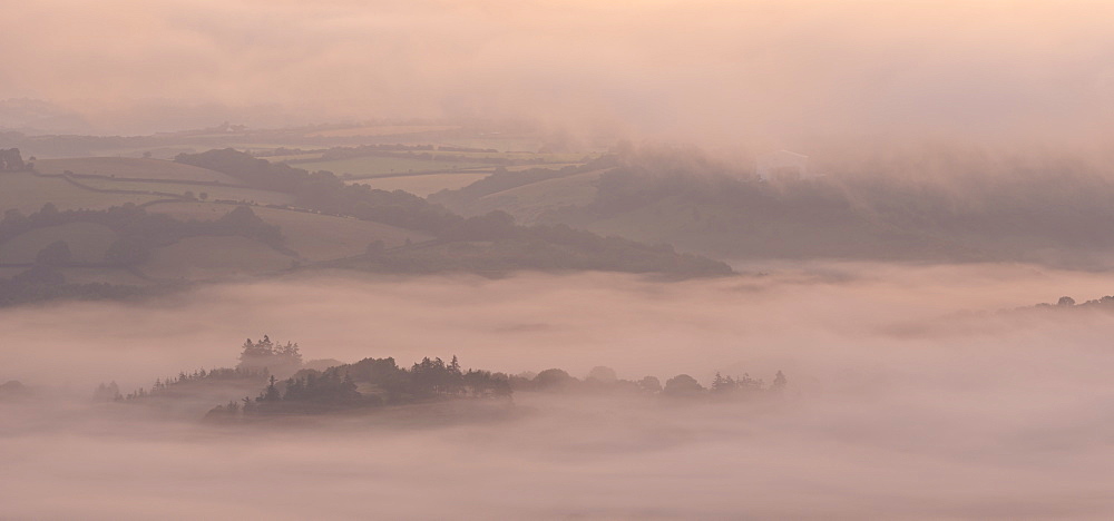 Mist covered rolling countryside at dawn, Dartmoor National Park, Devon, England, United Kingdom, Europe