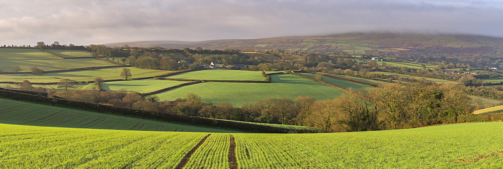 Rolling farmland near South Tawton in winter, Dartmoor National Park, Devon, England, United Kingdom, Europe